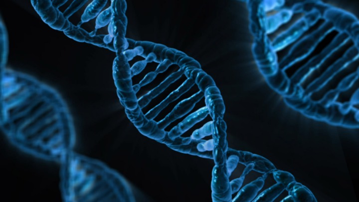 Dna-sprial